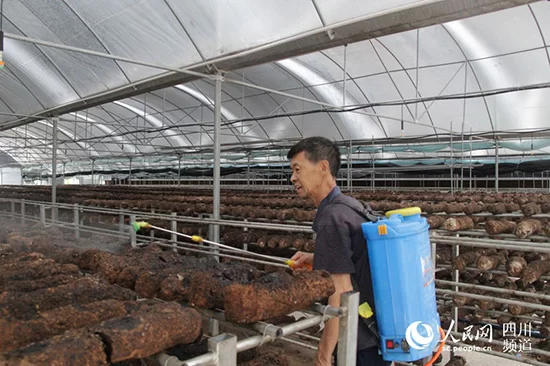 坚决打赢脱贫攻坚战 四川的底气何来？(图6)