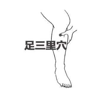 营养专家:立秋前后 适当吃些瓜(图4) 营养专家:立秋前后 适当吃些瓜(图4)