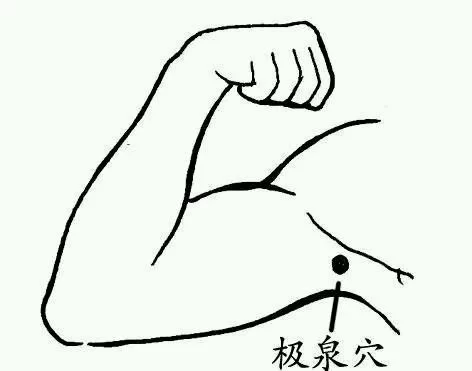 营养专家:立秋前后 适当吃些瓜(图2) 营养专家:立秋前后 适当吃些瓜(图2)