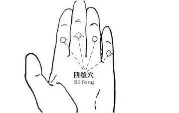 营养专家:立秋前后 适当吃些瓜(图3) 营养专家:立秋前后 适当吃些瓜(图3)