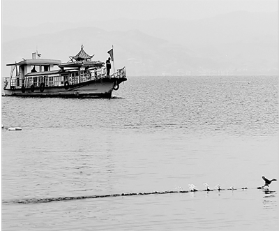 如何成为生态文明建设排头兵 如何成为生态文明建设排头兵(图1)