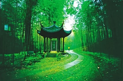 杭州的生态:好高的“颜值”(图5) 杭州的生态:好高的“颜值”(图5)