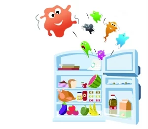 李斯特菌: 冰箱里的“隐形杀手”(图1) 李斯特菌: 冰箱里的“隐形杀手”(图1)