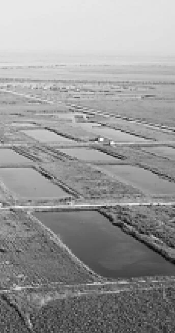 构建“大水大绿大空间”的生态格局 构建“大水大绿大空间”的生态格局(图5)