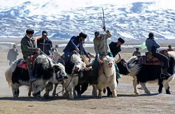 “丝绸之路冰雪风情节”摄影图片展在上海图书馆展出(图2) “丝绸之路冰雪风情节”摄影图片展在上海图书馆展出(图2)