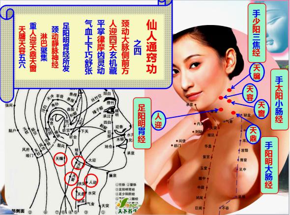 道源圣地话养生 陈红涛教授青城山下传授独创功法(图3) 道源圣地话养生 陈红涛教授青城山下传授独创功法(图3)