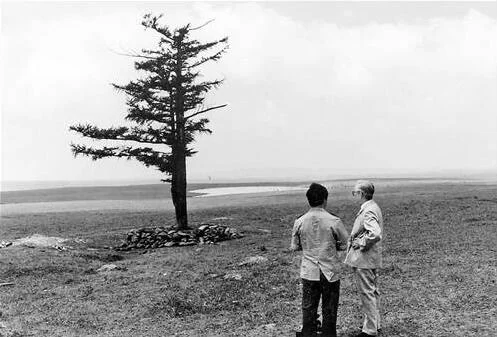 塞罕坝:从一棵树到一片林 三代人传递的绿色接力(图1) 塞罕坝:从一棵树到一片林 三代人传递的绿色接力(图1)