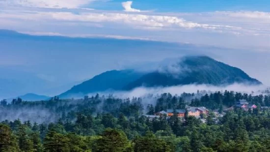 当成都遇见香港 谱写全新“山海经”(图11) 当成都遇见香港 谱写全新“山海经”(图11)