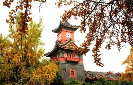 当成都遇见香港 谱写全新“山海经”(图14) 当成都遇见香港 谱写全新“山海经”(图14)