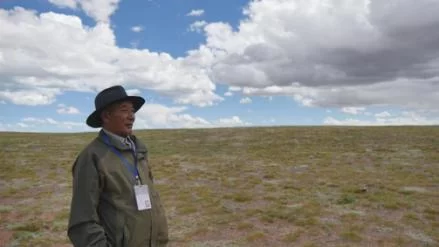 不愿迁徙的藏羚羊(图2) 不愿迁徙的藏羚羊(图2)