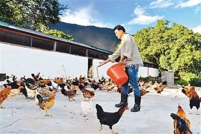 西藏色果拉村奔小康(图1) 西藏色果拉村奔小康(图1)