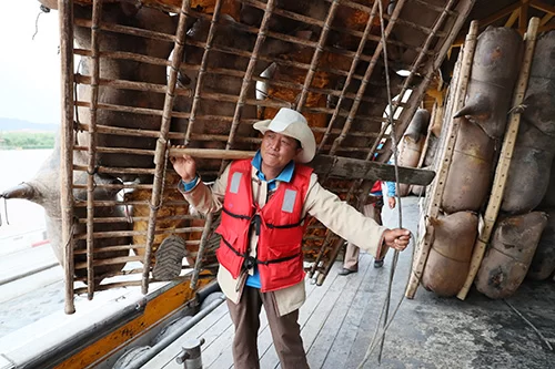 宁夏中卫：大漠尽披黄金甲 塞上江南唱新歌(图6)