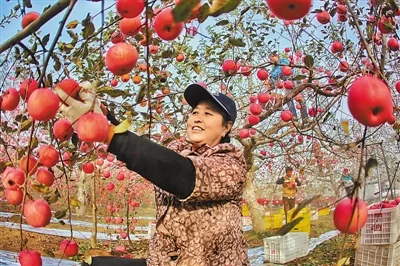 落实“五个扎实” 推进跨越发展(仓廪丰实)(图1) 落实“五个扎实” 推进跨越发展(仓廪丰实)(图1)