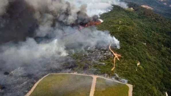 纳帕谷夜未眠,加州别为我哭泣!美国酒乡遭遇史上最大火灾