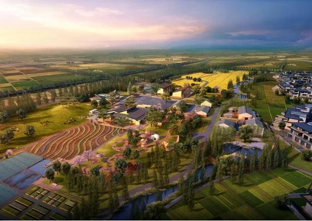 党建引领 四“动”同步 崇州崇平镇着力构建基层治理体系(图6) 党建引领 四“动”同步 崇州崇平镇着力构建基层治理体系(图6)