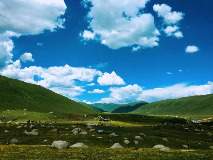 阿坝州的果果红了,你想吃汶川车厘子还是汶川甜樱桃?(图2) 阿坝州的果果红了,你想吃汶川车厘子还是汶川甜樱桃?(图2)