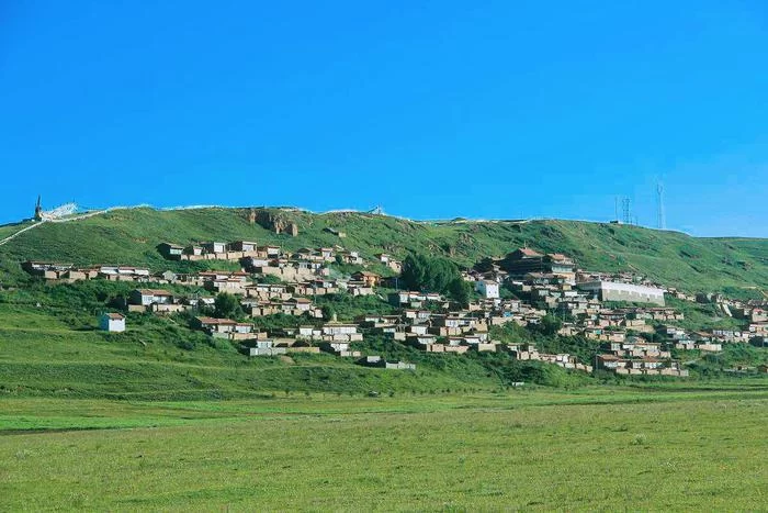 阿坝州的果果红了,你想吃汶川车厘子还是汶川甜樱桃?(图4) 阿坝州的果果红了,你想吃汶川车厘子还是汶川甜樱桃?(图4)