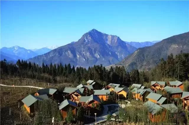 阿坝州的果果红了,你想吃汶川车厘子还是汶川甜樱桃?(图7) 阿坝州的果果红了,你想吃汶川车厘子还是汶川甜樱桃?(图7)