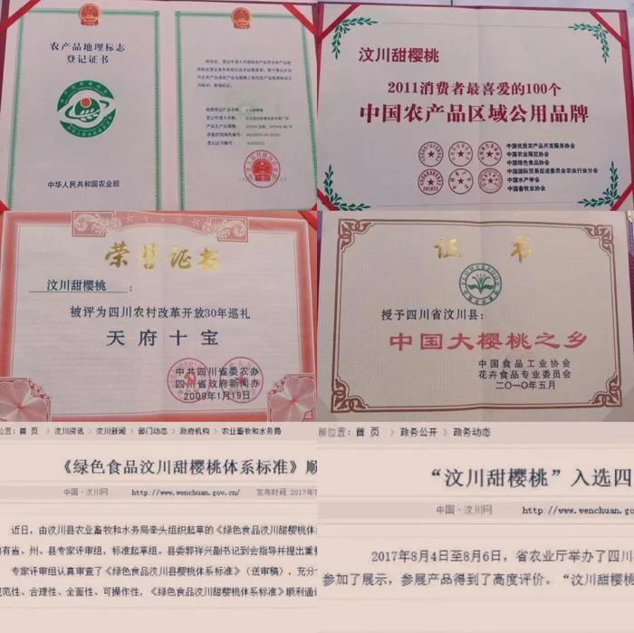 阿坝州的果果红了,你想吃汶川车厘子还是汶川甜樱桃?(图18) 阿坝州的果果红了,你想吃汶川车厘子还是汶川甜樱桃?(图18)