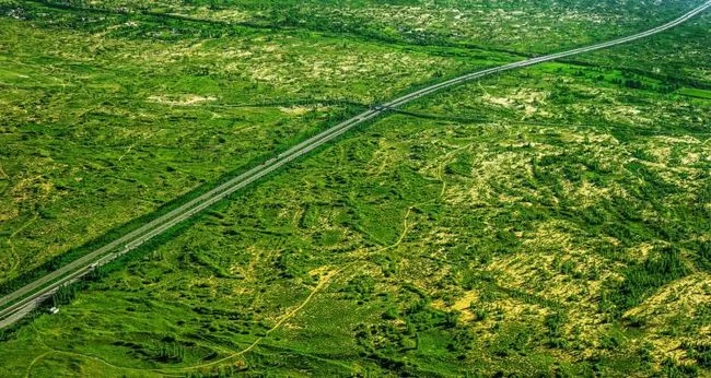 陕西榆林:在沙海里创造绿色奇迹(图1) 陕西榆林:在沙海里创造绿色奇迹(图1)