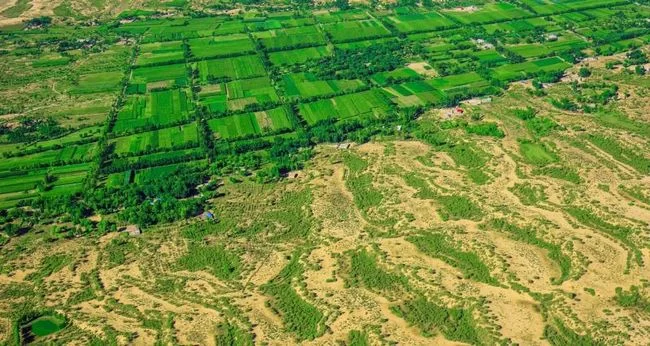 陕西榆林:在沙海里创造绿色奇迹(图2) 陕西榆林:在沙海里创造绿色奇迹(图2)