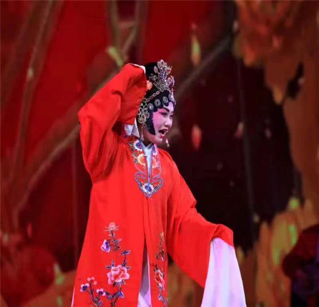 北京市顺义区第二届戏曲艺术节暨第十四届“高丽营杯”京津冀戏曲票友演唱会举办(图4) 北京市顺义区第二届戏曲艺术节暨第十四届“高丽营杯”京津冀戏曲票友演唱会举办(图4)