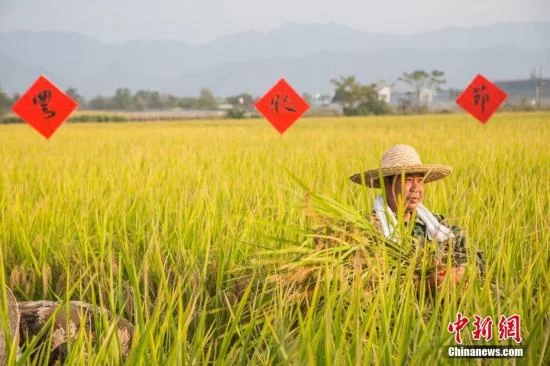 黑龙江：加强对俄农业合作 建设境外农业合作示范区(图1)