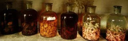 明确保健酒定义 中国酒业协会发布保健酒新标准(图1) 明确保健酒定义 中国酒业协会发布保健酒新标准(图1)