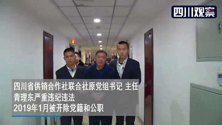 “严书记”落马视频首次披露：抹泪啜泣被戴上手铐(图4)