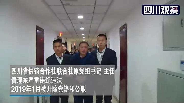 “严书记”落马视频首次披露:抹泪啜泣被戴上手铐(图4) “严书记”落马视频首次披露:抹泪啜泣被戴上手铐(图4)