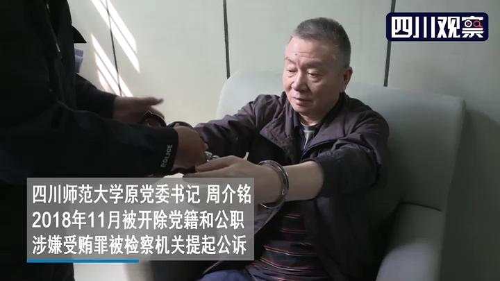 “严书记”落马视频首次披露：抹泪啜泣被戴上手铐(图3)