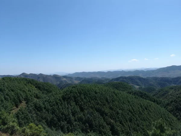 人民日报头版头条:脱贫攻坚看海雀(图4) 人民日报头版头条:脱贫攻坚看海雀(图4)