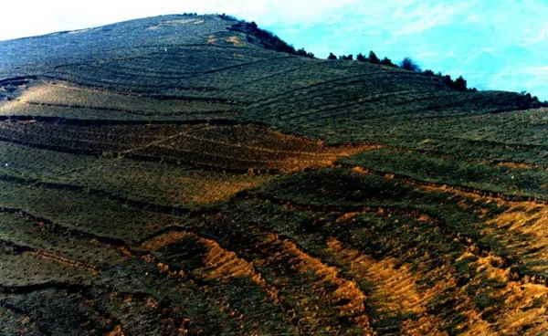 人民日报头版头条:脱贫攻坚看海雀(图3) 人民日报头版头条:脱贫攻坚看海雀(图3)