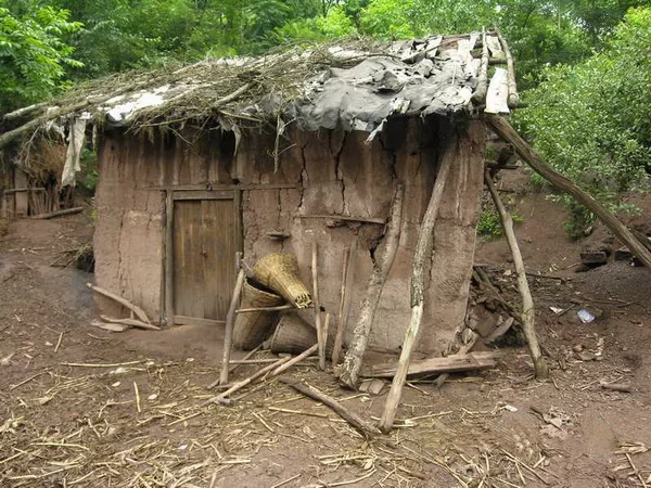 人民日报头版头条:脱贫攻坚看海雀(图2) 人民日报头版头条:脱贫攻坚看海雀(图2)