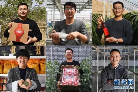 在绿色田野上书写青春答卷——几位“新农民”的返乡创业故事(图1) 在绿色田野上书写青春答卷——几位“新农民”的返乡创业故事(图1)