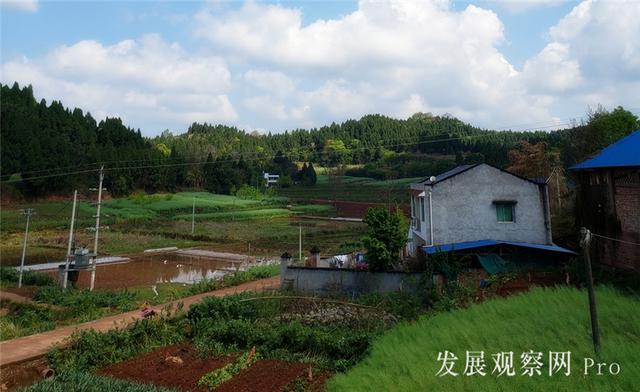 农家四月春正忙(图1) 农家四月春正忙(图1)