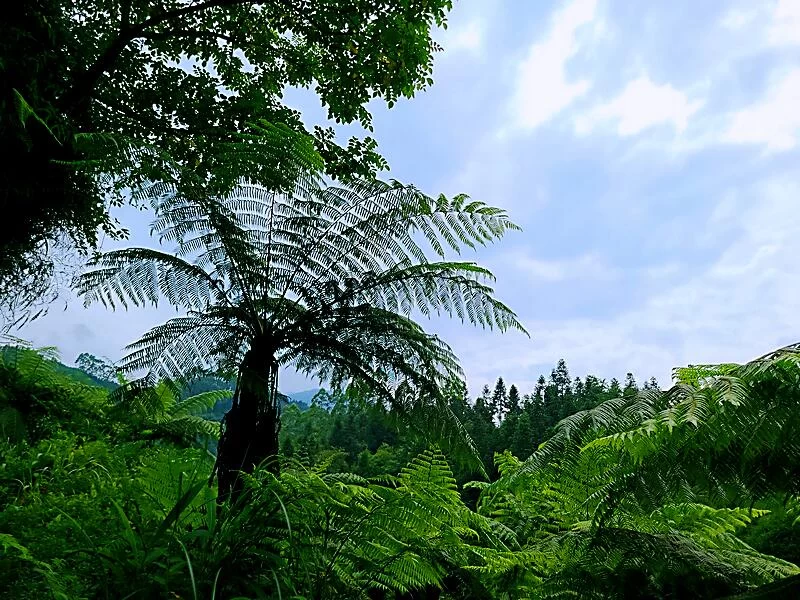 科学筑基，产业先行——与云中蜀山生命科学研究中心龙建儒一席谈(图3)