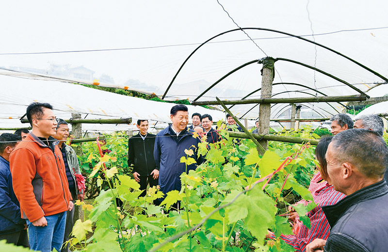 习近平：坚持把解决好“三农”问题作为全党工作重中之重 举全党全社会之力推动乡村振兴(图4)
