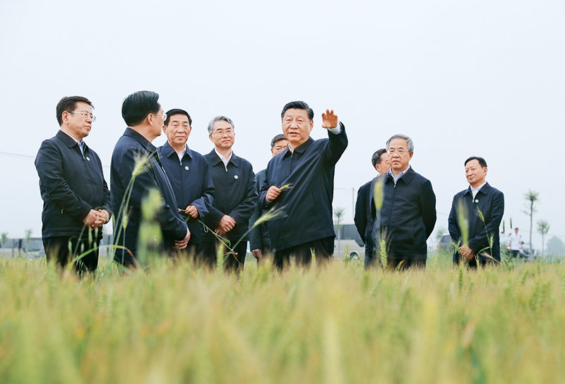 习近平：坚持把解决好“三农”问题作为全党工作重中之重 举全党全社会之力推动乡村振兴(图3)