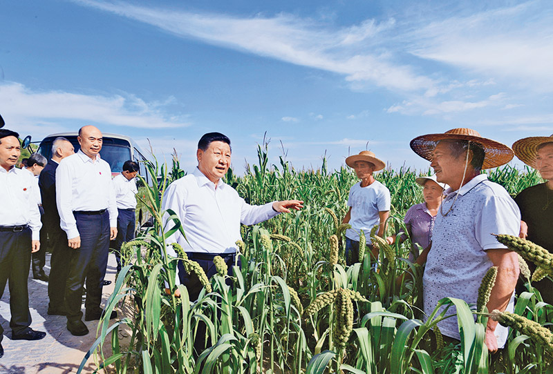 习近平：坚持把解决好“三农”问题作为全党工作重中之重 举全党全社会之力推动乡村振兴(图2)
