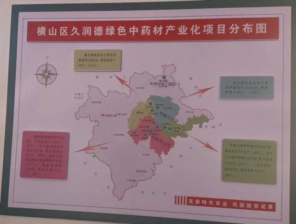 榆林横山:引进企业种药材 联农带农效益好(图2) 榆林横山:引进企业种药材 联农带农效益好(图2)