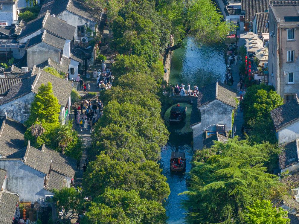 世界级城市群怎样建？来看长三角国际“对话”(图8)