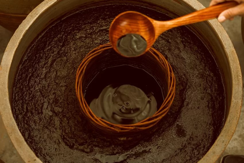 创新发展富含益生菌的无盐发酵酱油(图2) 创新发展富含益生菌的无盐发酵酱油(图2)