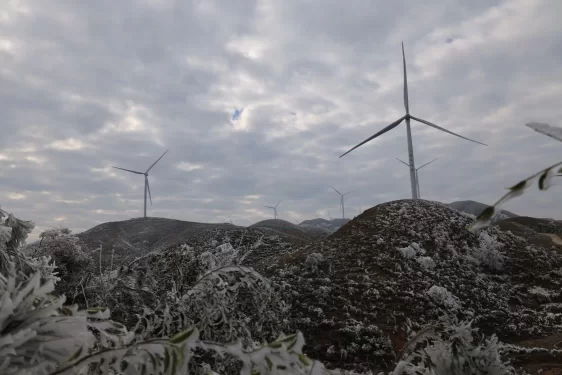 “共同体八桂行·柳州站”全媒体采访行动暨广西民族报社签约作家座谈会在柳州圆满举行(图20) “共同体八桂行·柳州站”全媒体采访行动暨广西民族报社签约作家座谈会在柳州圆满举行(图20)