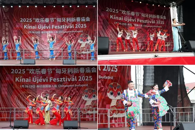 新春乐章唱响多瑙河畔——2025年欢乐春节演出活动在匈牙利布达佩斯举行(图6)
