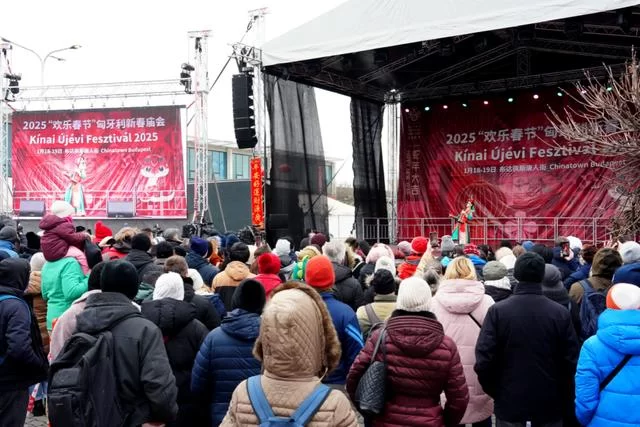 新春乐章唱响多瑙河畔——2025年欢乐春节演出活动在匈牙利布达佩斯举行(图9)