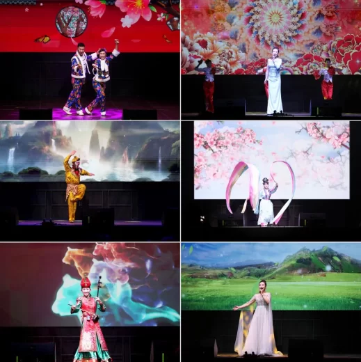 2025年欢乐春节演出活动在匈牙利卡辛茨巴茨卡市举办(图4)