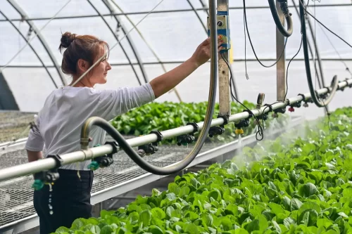 牢牢守住不发生规模性返贫致贫底线——西部脱贫地区“5年过渡期”一线观察(图8) 牢牢守住不发生规模性返贫致贫底线——西部脱贫地区“5年过渡期”一线观察(图6)