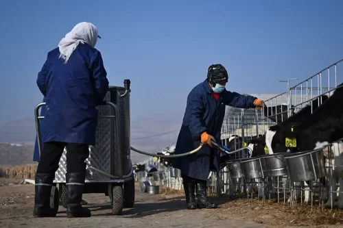 牢牢守住不发生规模性返贫致贫底线——西部脱贫地区“5年过渡期”一线观察(图11) 牢牢守住不发生规模性返贫致贫底线——西部脱贫地区“5年过渡期”一线观察(图8)