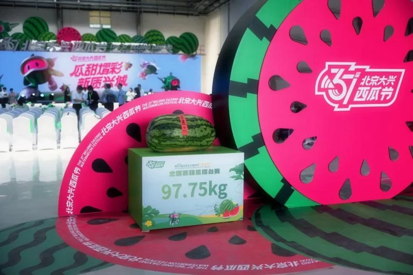 以瓜为媒 绘就发展“兴”图景——第37届北京大兴西瓜节启幕(图2)